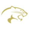 Crockett Austin Logo