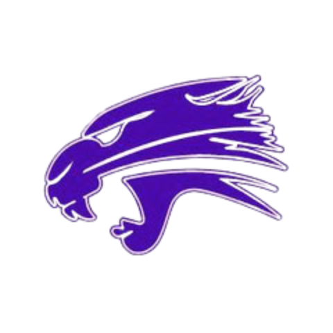 Palmyra-Eagle Logo