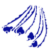 Warner/Northwestern Logo