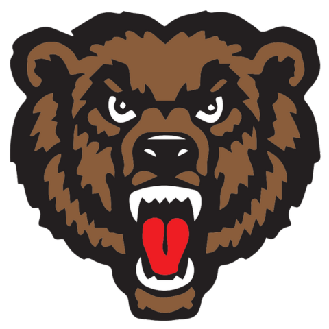 Danville Logo