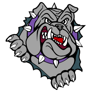Ithaca Logo