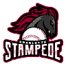 Charlotte Stampede Baseball Logo
