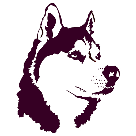 Pillager Logo