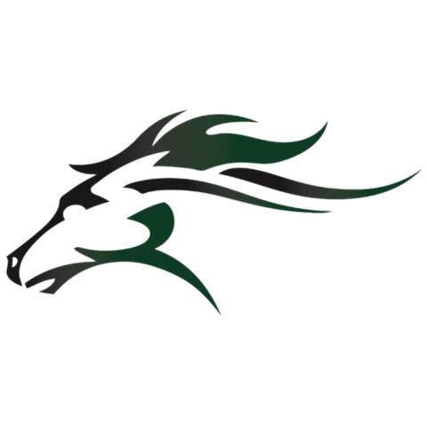 Mainland Regional Logo