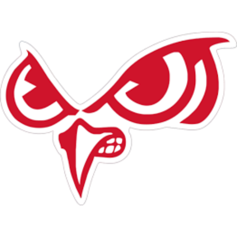 Slinger Logo
