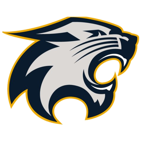 River Falls Logo