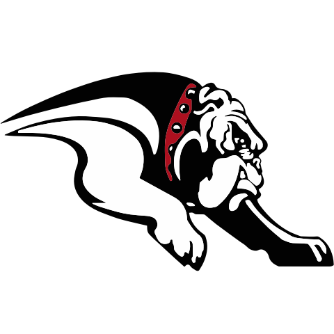 Auburn Logo