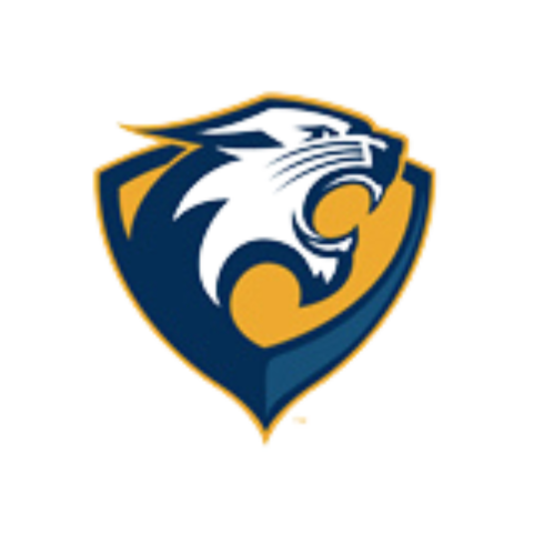 River Falls Logo