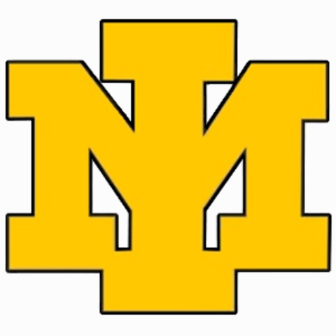 Iron Mountain Logo