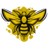 Big House Christian Academy Logo