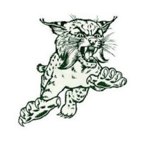 Edgar Logo