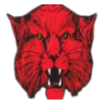 Ballinger Logo