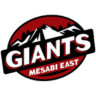 Mesabi East