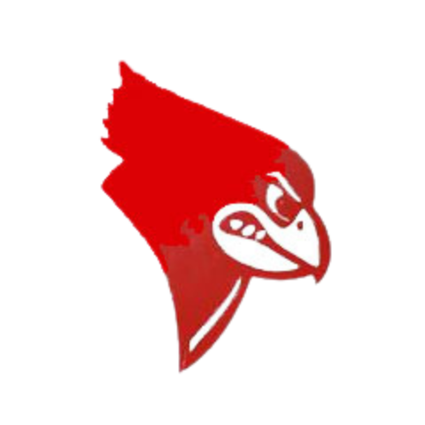 Eleva-Strum Logo