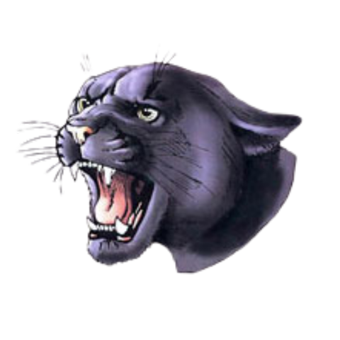 Oconto Falls Logo