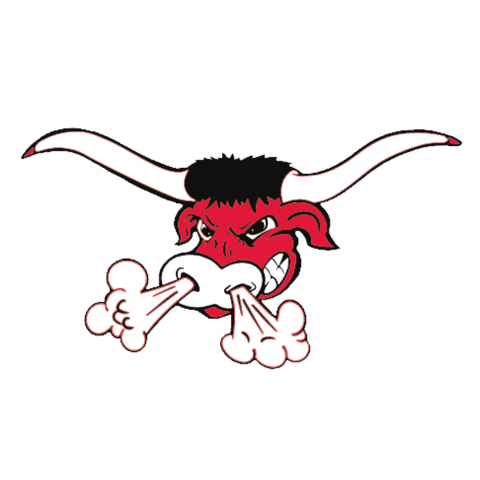 Omaha South Logo