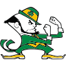 North Platte St. Patrick's Logo